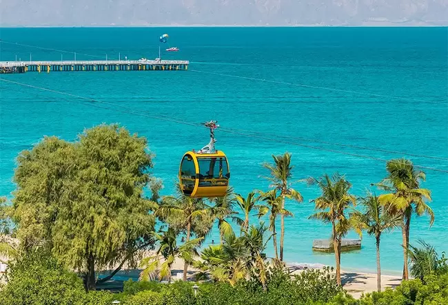 ساحل درختان نارگیل کیش